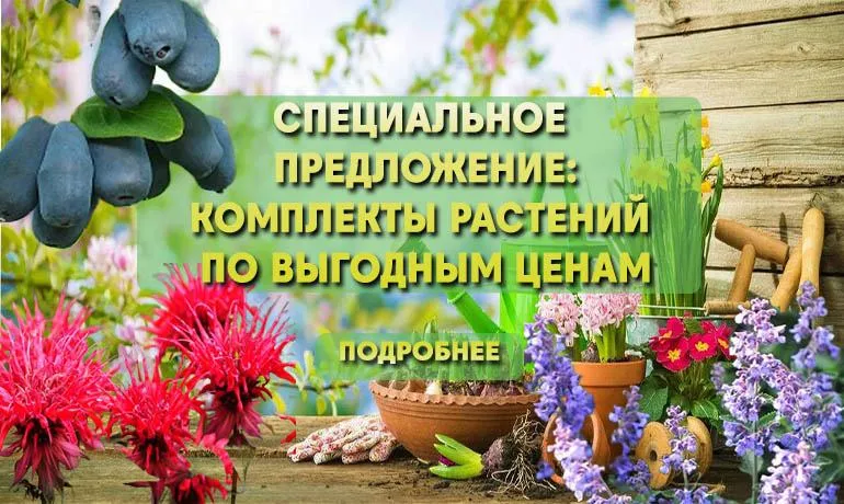 Специальное предложение: наборы растений по выгодным ценам