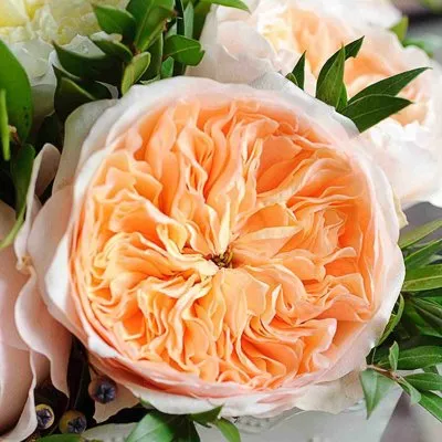 Дэвид остин розы.jpg Дэвид остин розы.jpg