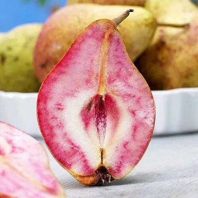 Груша БЛЮТБЕРН в Санкт-Петербурге