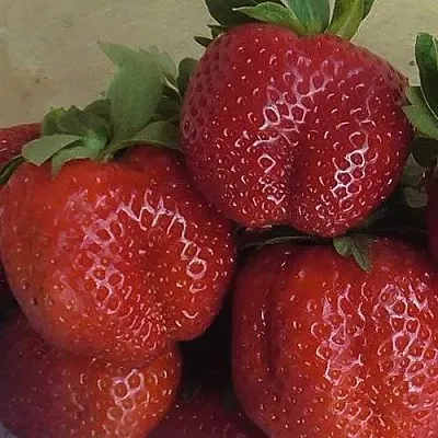 Клубника ДЕСТЕНИ  Клубника ДЕСТЕНИ в Санкт-Петербурге