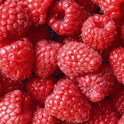 Летняя  Летняя в Санкт-Петербурге