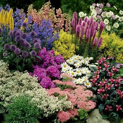 Травы в Санкт-Петербурге