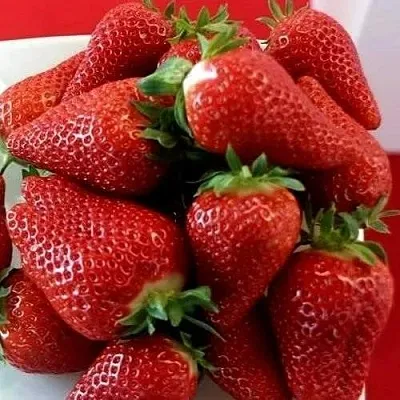 Клубника БРИЛЛА  Клубника БРИЛЛА в Санкт-Петербурге