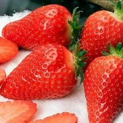 Клубника АЛЬБА  Клубника АЛЬБА в Санкт-Петербурге